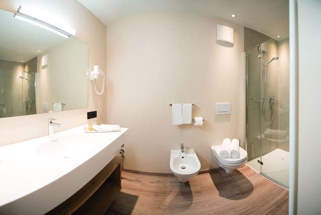 Premium Double or Twin Room, 1 Bedroom, Mountain View