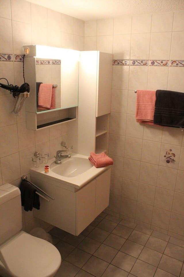 Comfort Apartment, Mountain View, Ground Floor (100 CHF Cleaning Fee)