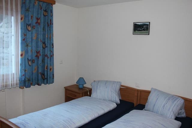 Comfort Apartment, Mountain View, Ground Floor (100 CHF Cleaning Fee)