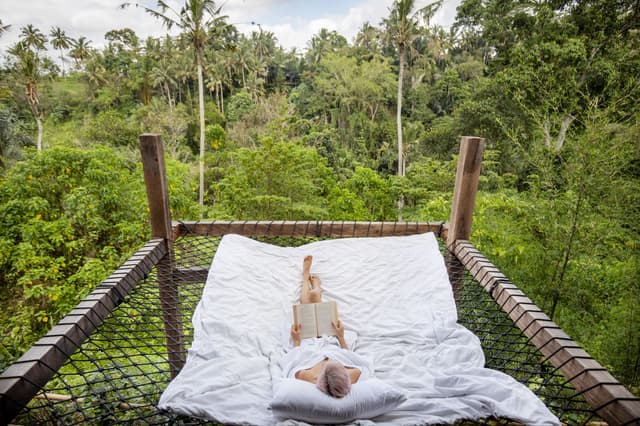 One Bedroom Villa Hammock Jungle View