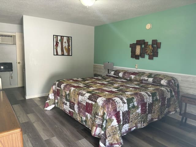 Room, 1 King Bed