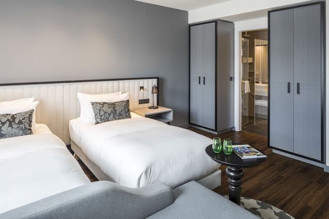 Deluxe Studio, 2 Twin Beds