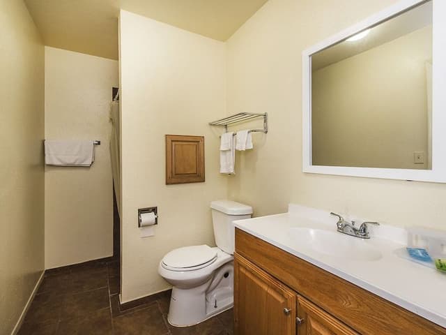 Room, 1 King Bed