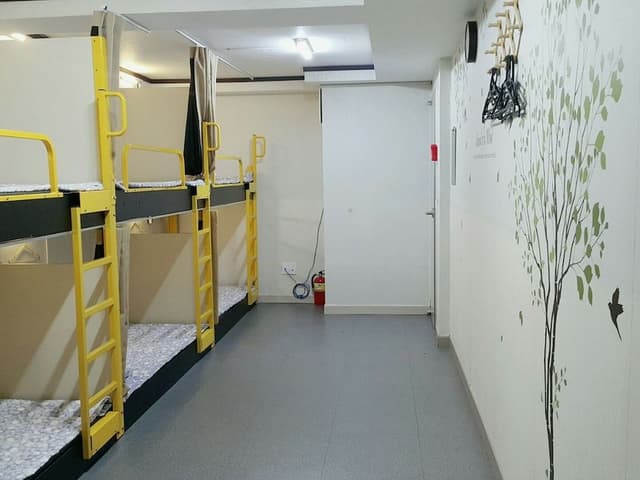 Shared Dormitory, Women only (6-person)