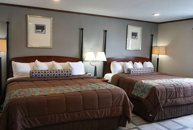 Standard Double Room, 2 Double Beds
