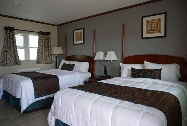 Standard Double Room, 2 Double Beds