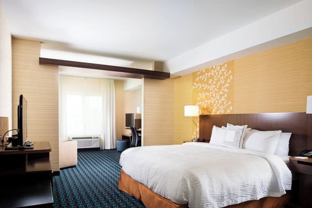 Suite, 1 King Bed with Sofa bed