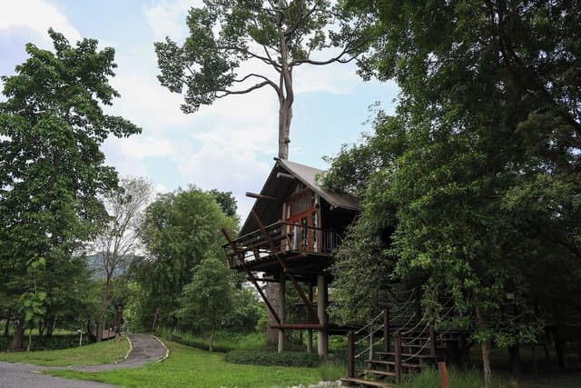 Loft Tree House