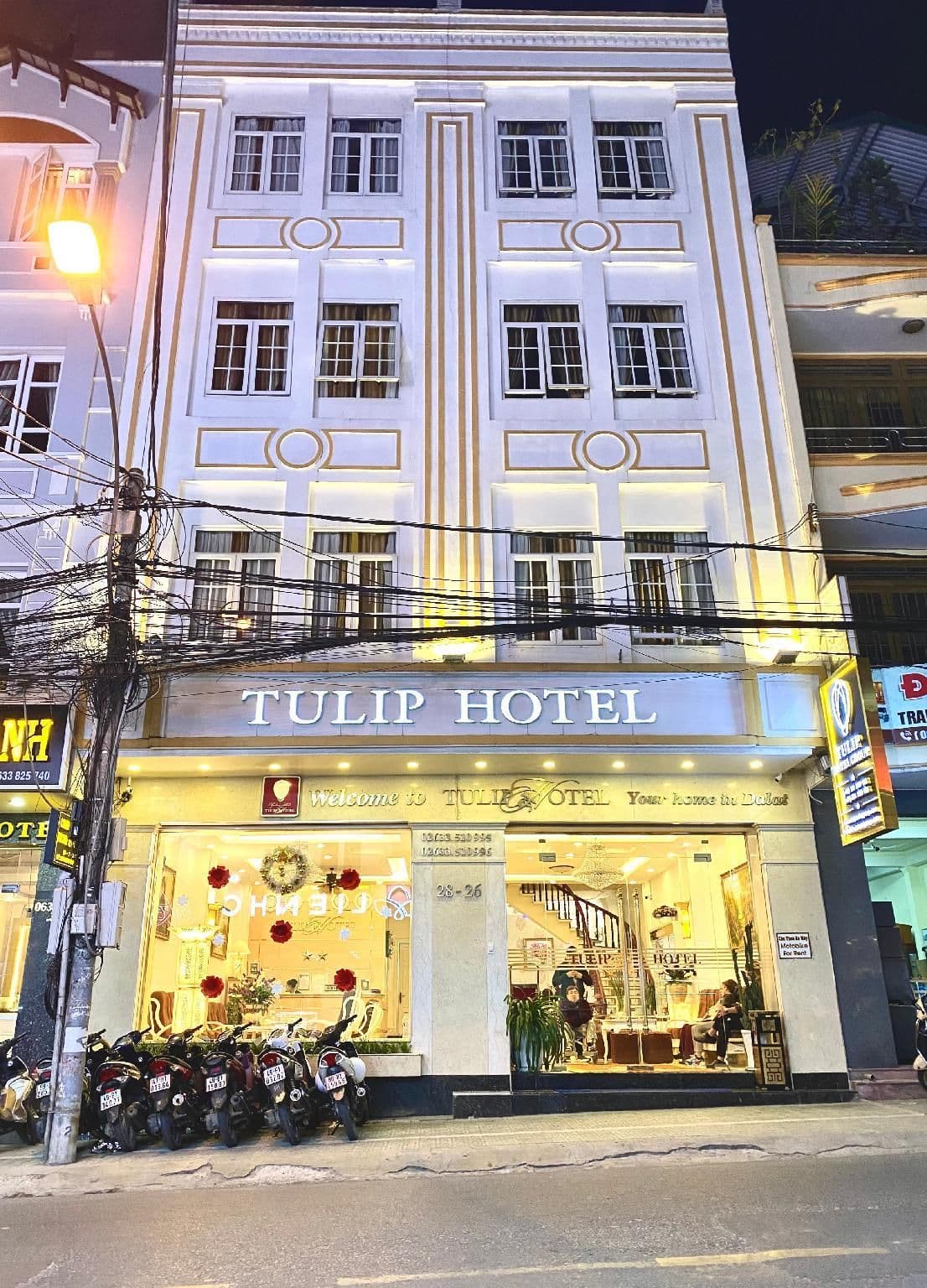 Tulip Hotel Tulip Hotel
