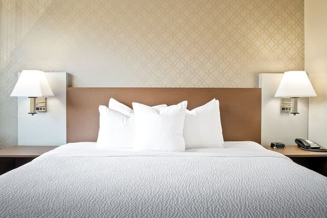 Superior Single Room, 1 King Bed with Sofa bed