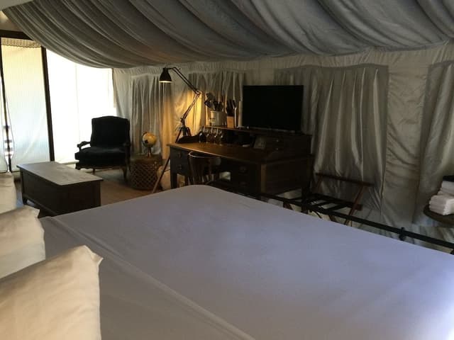 Safari Tent King