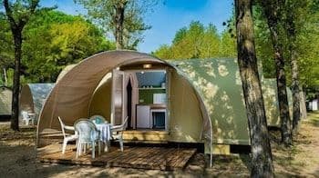 Basic Tent