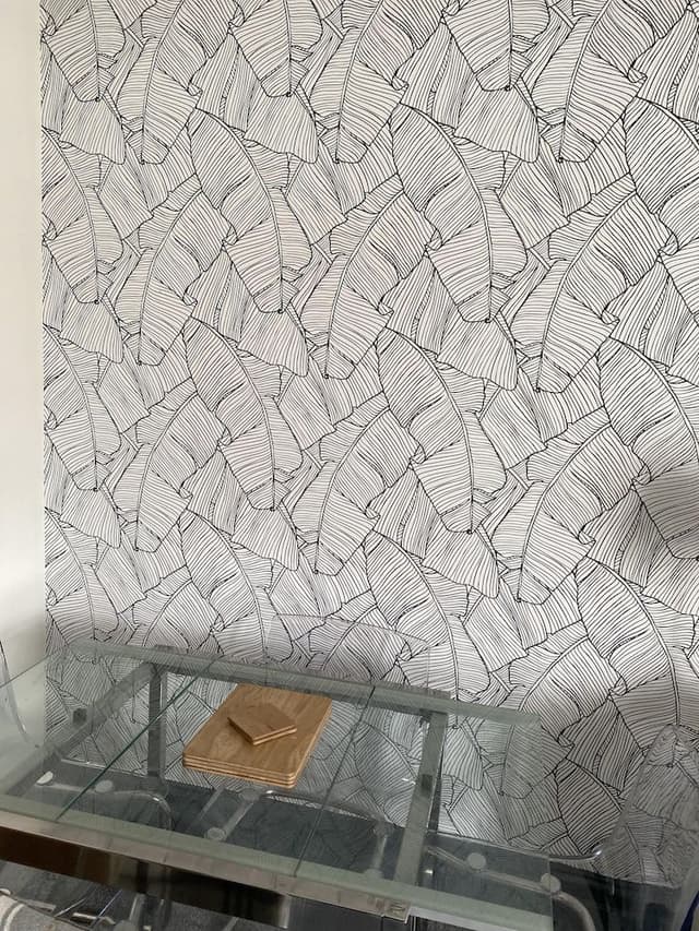 Apartment, Private Bathroom (74 Wilson St)