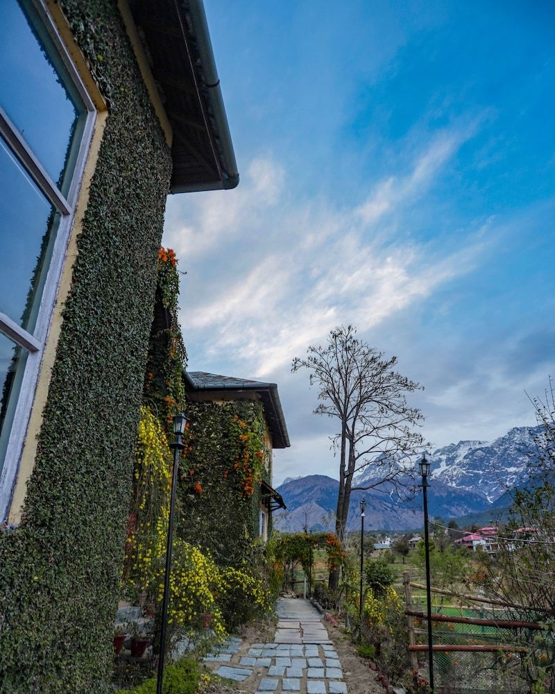 Seclude Palampur, Himachal Pradesh4