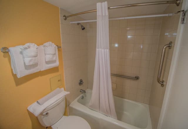 Studio, Balcony, Ocean View (Starboard)