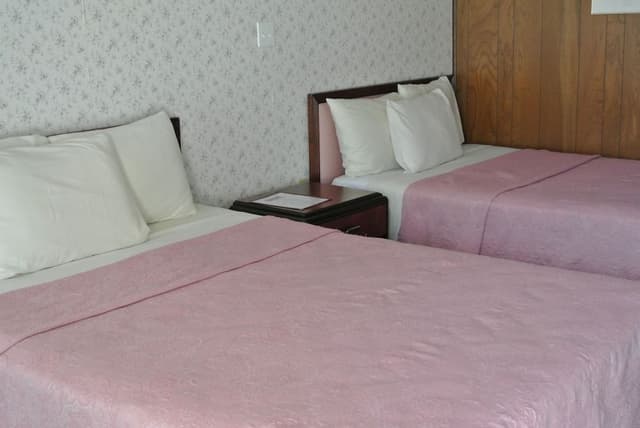 Room, 1 Queen Bed