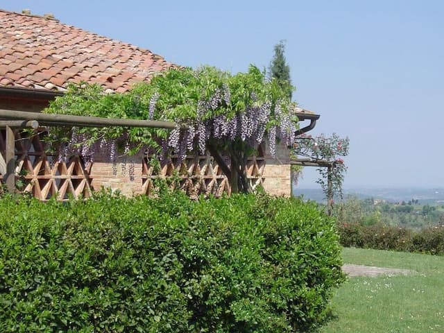 Superior Duplex (Tarquinia)