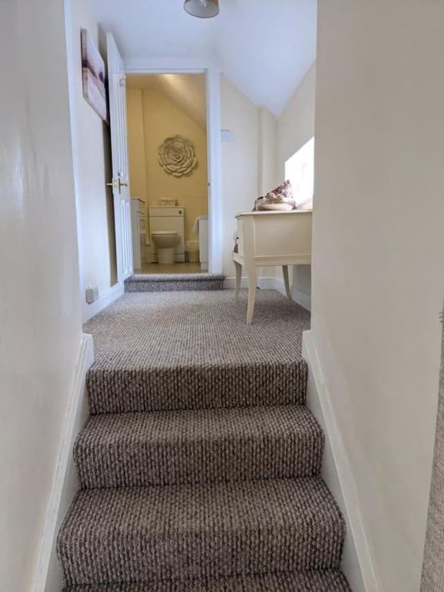 Standard Studio Suite