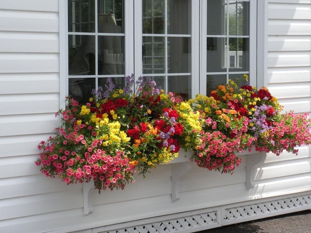 Cote's Bed & Breakfast Inn1