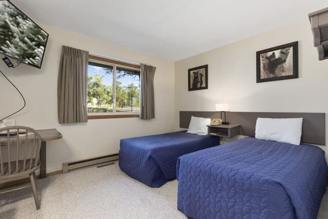 Basic Twin Room, 1 Bedroom
