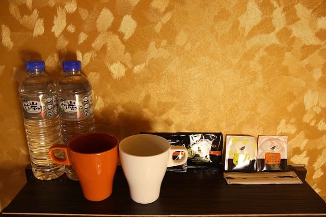 Business Double Room
