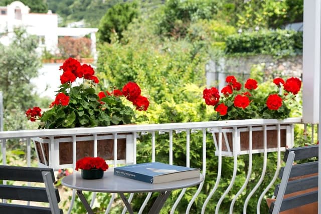 Double Room, Terrace