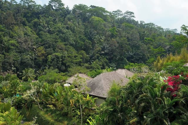 Ubud Pool Villa, 1 King Bed, Ubud View, Private Pool