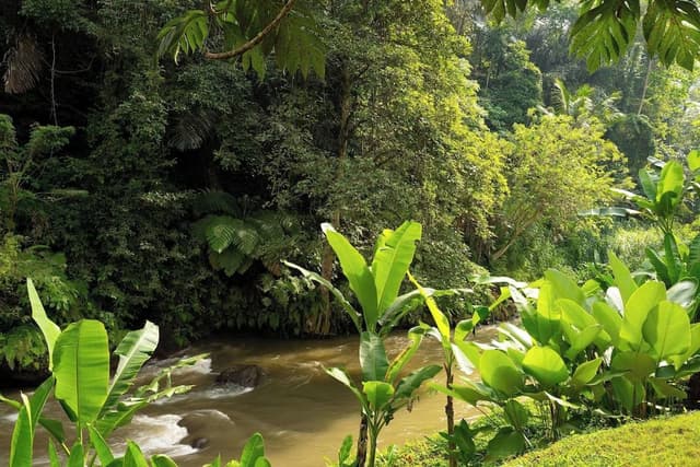 Riverfront Villa, 1 king Bed, River View, Private Pool