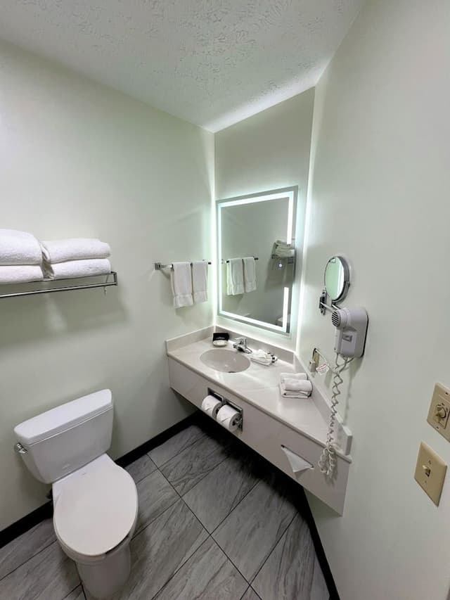 1 Bedroom King Suite with Sofa Bed