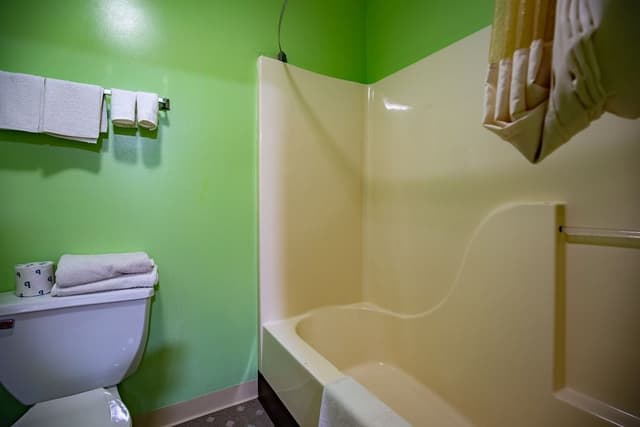 Deluxe Room, 1 King Bed, Non Smoking, Refrigerator & Microwave