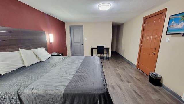 Suite Single Bed (1 King)