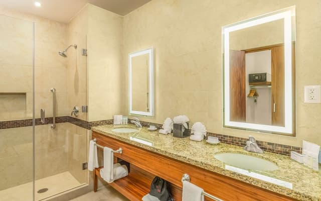 1 KING 2 ROOM SUITE WITH SOFABED NONSMOKING