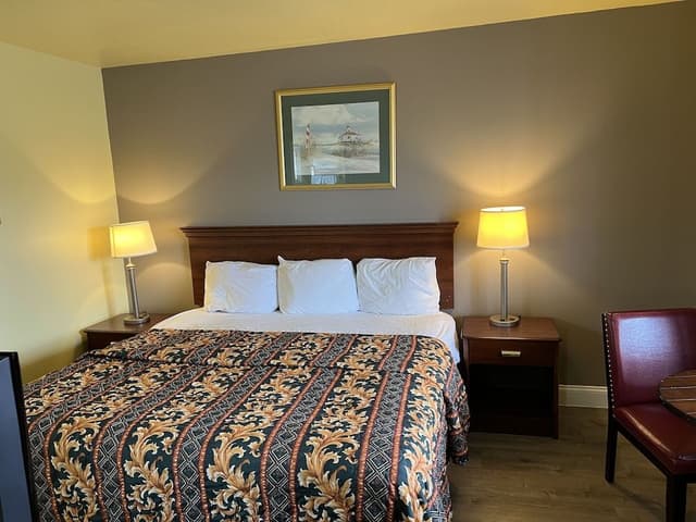 Standard Room, 1 King Bed (Pets Allowed)