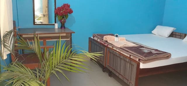 Deluxe Room, 1 Double Bed (Complete River View)