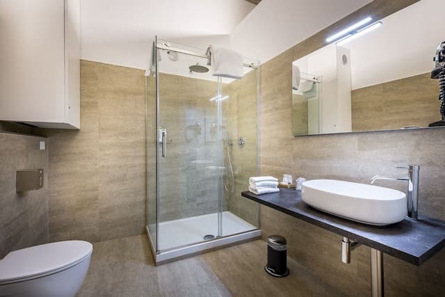 Classic Suite, 1 King Bed