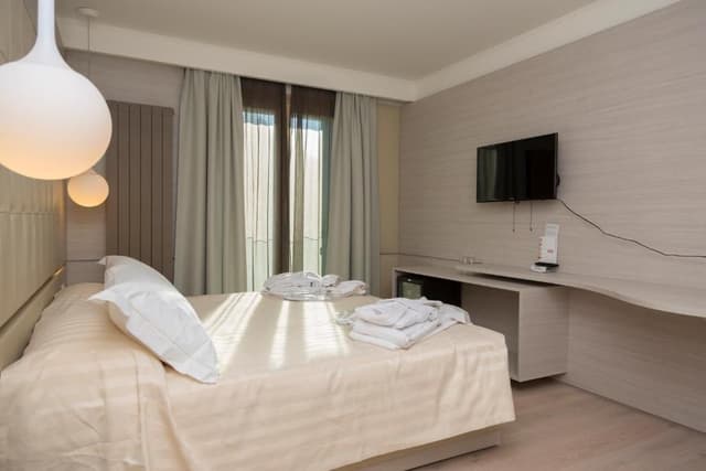 Basic Triple Room