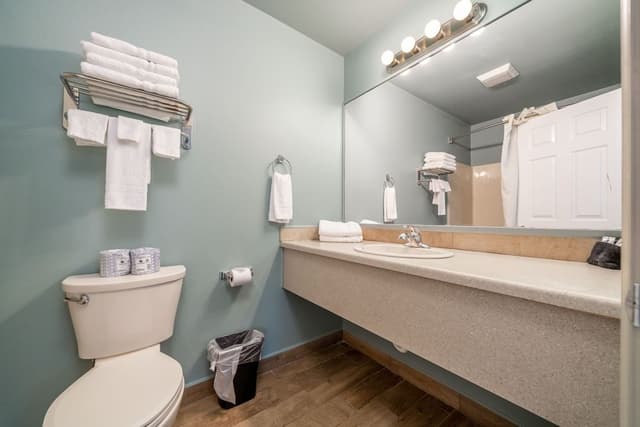 Deluxe Studio Suite, 1 King Bed, Lake View, Ground Floor