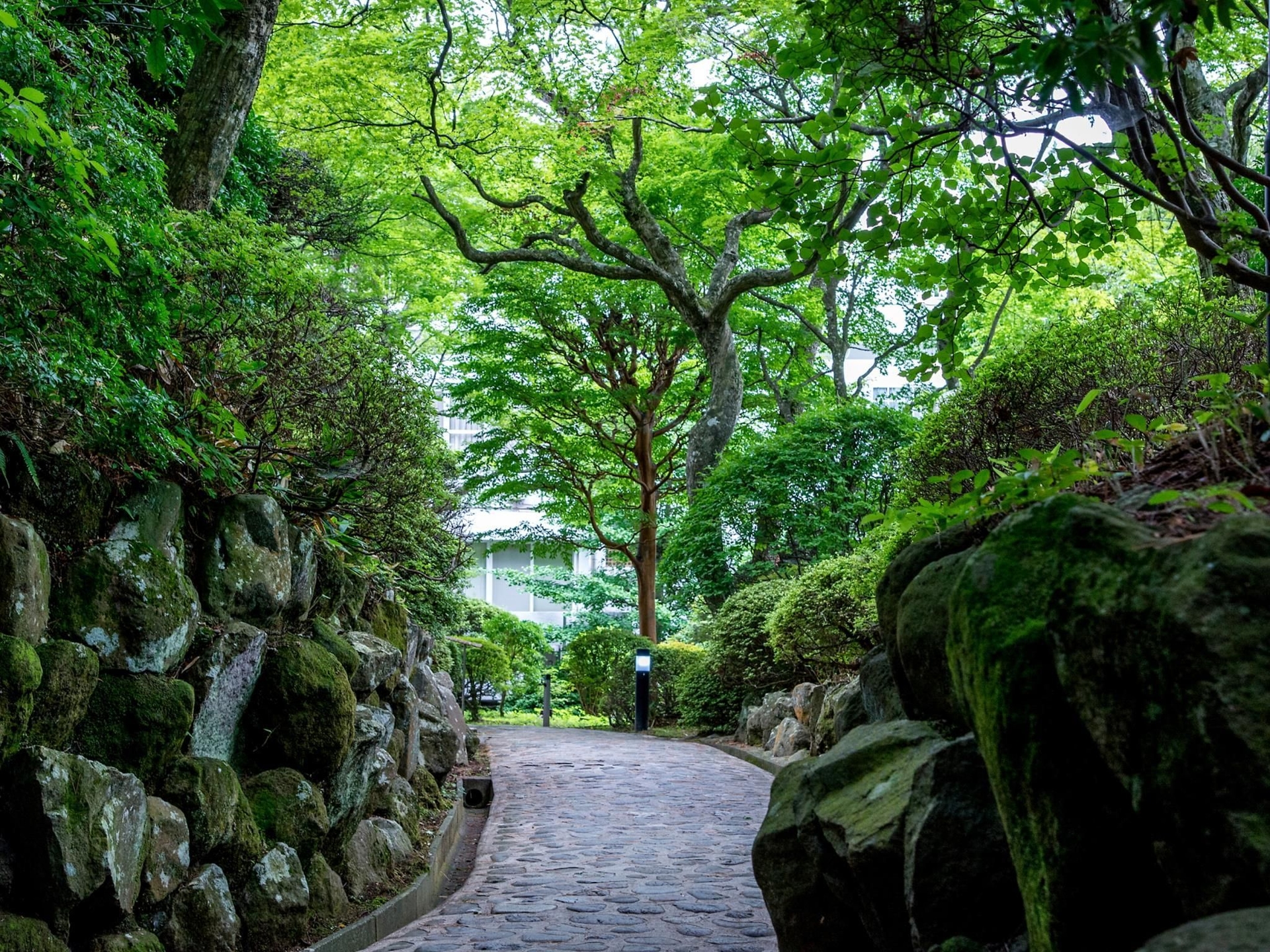 ทีเคพี โฮเต็ล แอนด์ รีสอร์ต เลคตอร์ ฮาโคเนะ โกระ (TKP Hotel and Resort Lectore Hakone Gora)3