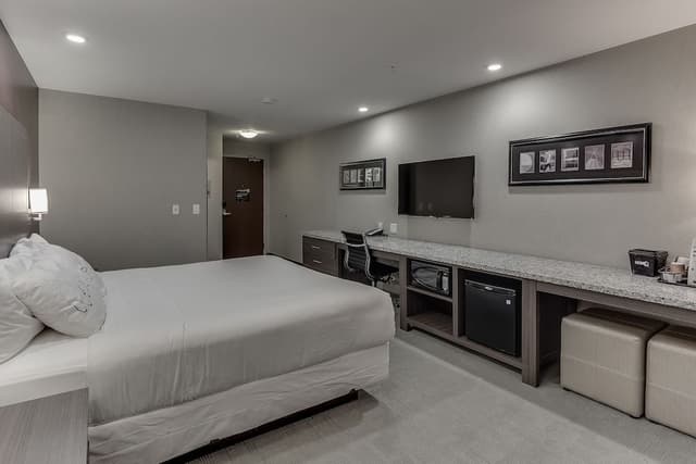 Business Room, 1 King Bed