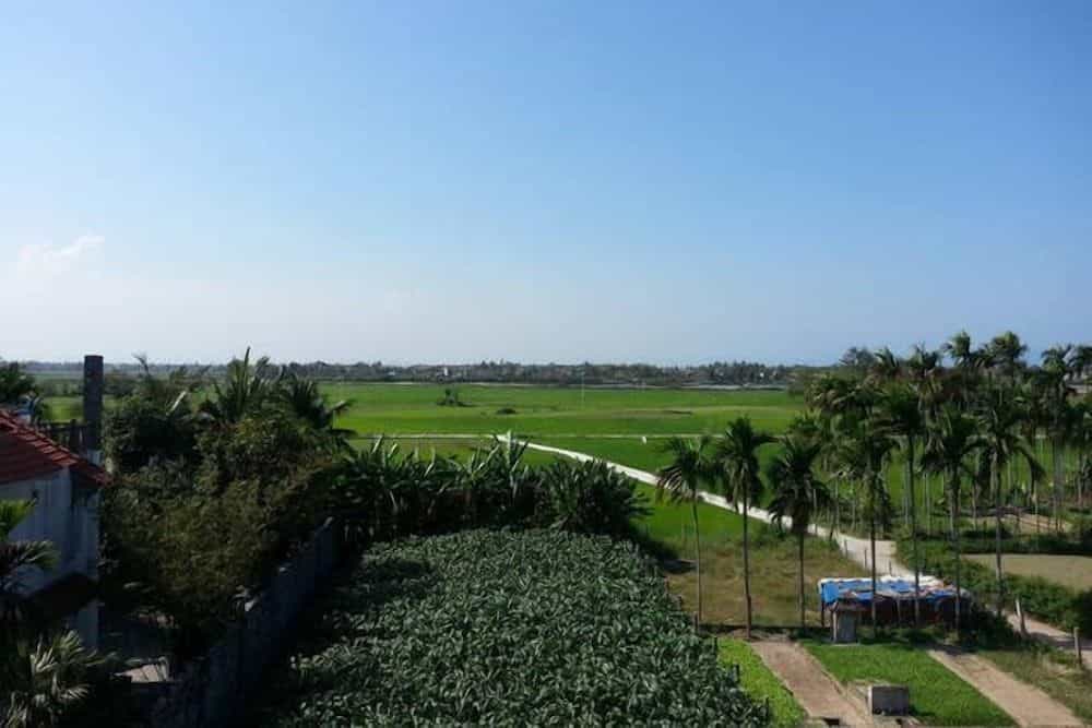 Rice Field Homestay Rice Field Homestay