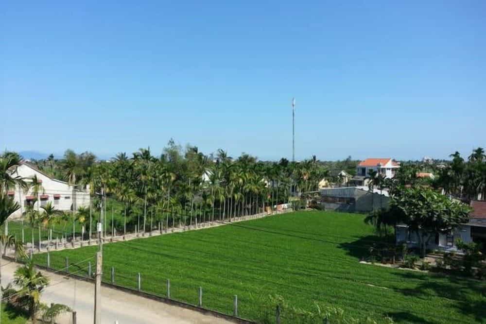 Rice Field Homestay Rice Field Homestay