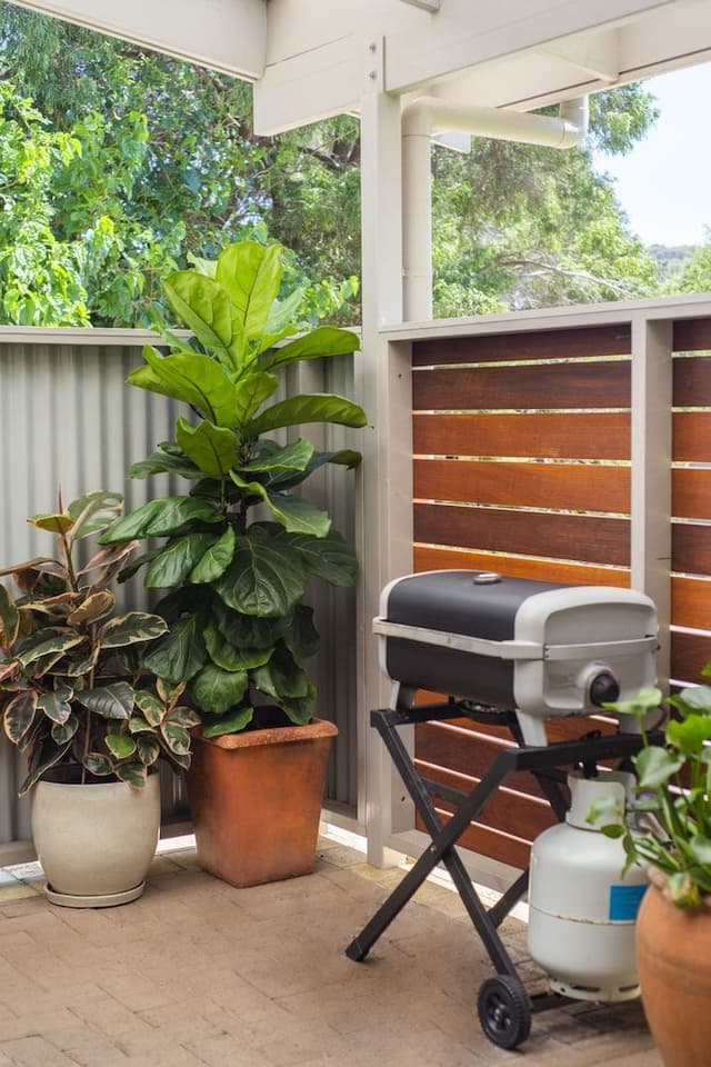 Deluxe Studio, 1 King Bed, Garden View