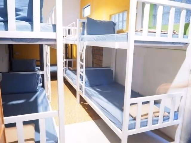 Comfort Shared Dormitory, Mixed Dorm