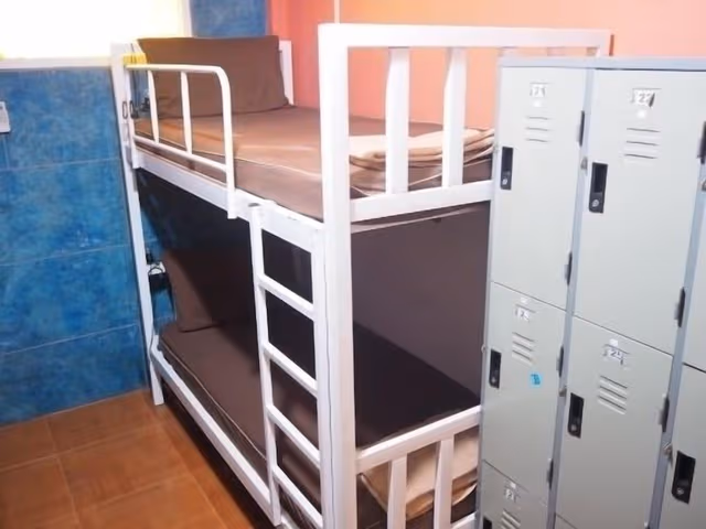 Comfort Shared Dormitory, Mixed Dorm