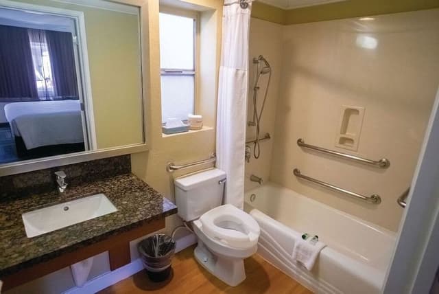 Standard Room, 1 King Bed, Accessible