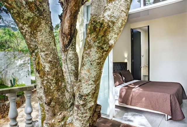 Deluxe Doble con Balcon