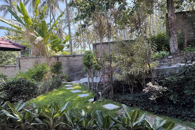 Deluxe Room, Pool View