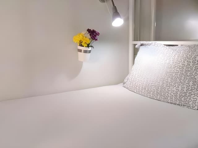 Bunk Bed in Mixed Dormitory Room