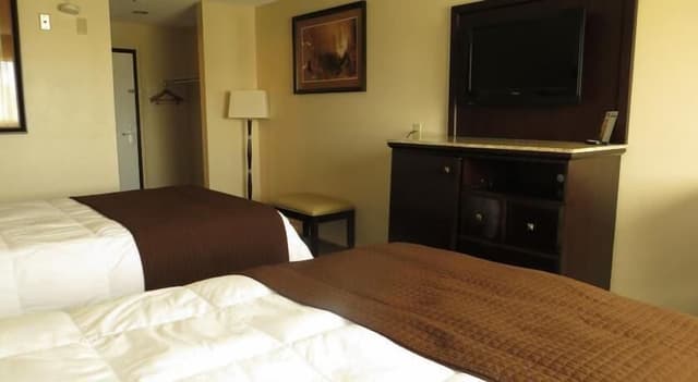 Standard Double Room, 2 Double Beds