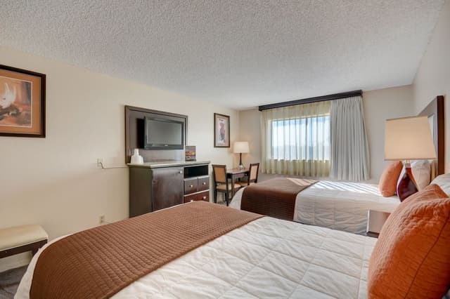 Standard Double Room, 2 Double Beds